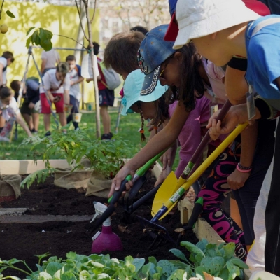 Direccion de ambiente