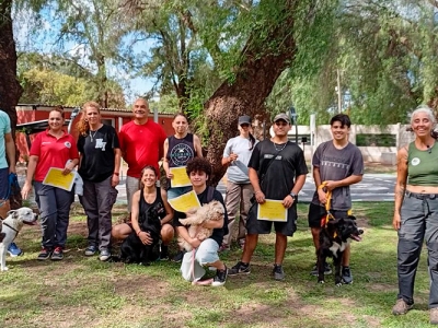 TALLER GRATUITO INTENSIVO DE PASEADOR DE PERROS EN MANADA PROFESIONAL