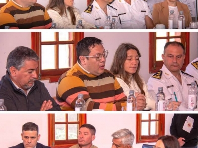 REUNIÓN DE TRABAJO SOBRE LA SEGURIDAD DE LA CIUDAD: ANÁLISIS Y PLANIFICACIÓN