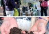 CELEBRACIÓN DEL DÍA MUNDIAL DEL AMBIENTE EN BARRIO BELGRANO